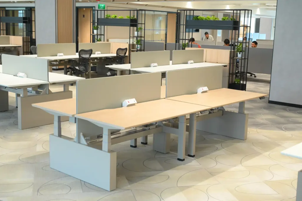Complete office setup with height adjustable workstations